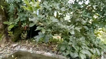 Gomez98xxx  27-11-2021 video footjob